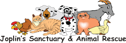 Joplin's Sanctuary & Animal Rescue